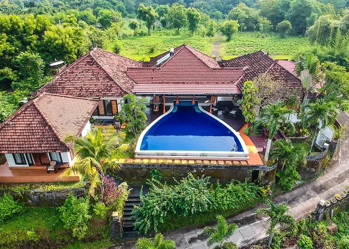 The Dharma - Mountain And Sea View -